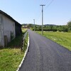 mz trbusnica pantelica kraj (1).jpg