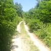 mz zupanjac put ka groblju grabovica (2).jpg