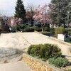 uredjenje platoa ispred CZK (1).jpg