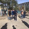 kamen temeljac za balon halu os voka savic (4).jpg