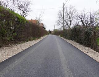 Asfaltirano 5 ulica u MZ Petka (6)