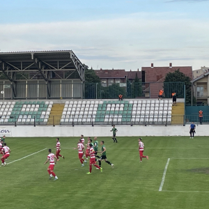 Istorijski uspeh FK Kolubara (1)