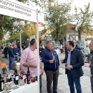 Odrzan 13. Festival srpskih vina u Lazarevcu (2)