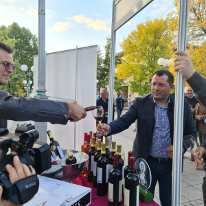 Odrzan 13. Festival srpskih vina u Lazarevcu (12)